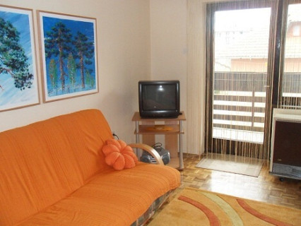 Apartman u centru Zlatibora