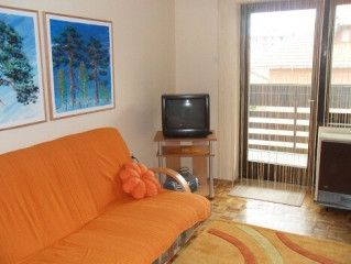 Apartman u centru Zlatibora