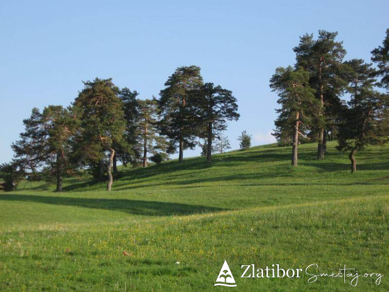 Apartman AB Zlatibor