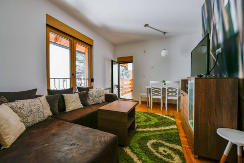 Central Point Zlatibor