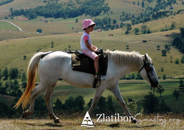 Jahanje konja na Zlatiboru