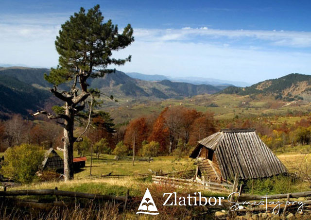 Pejzaž na Zlatiboru