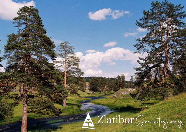 Planina Zlatibor